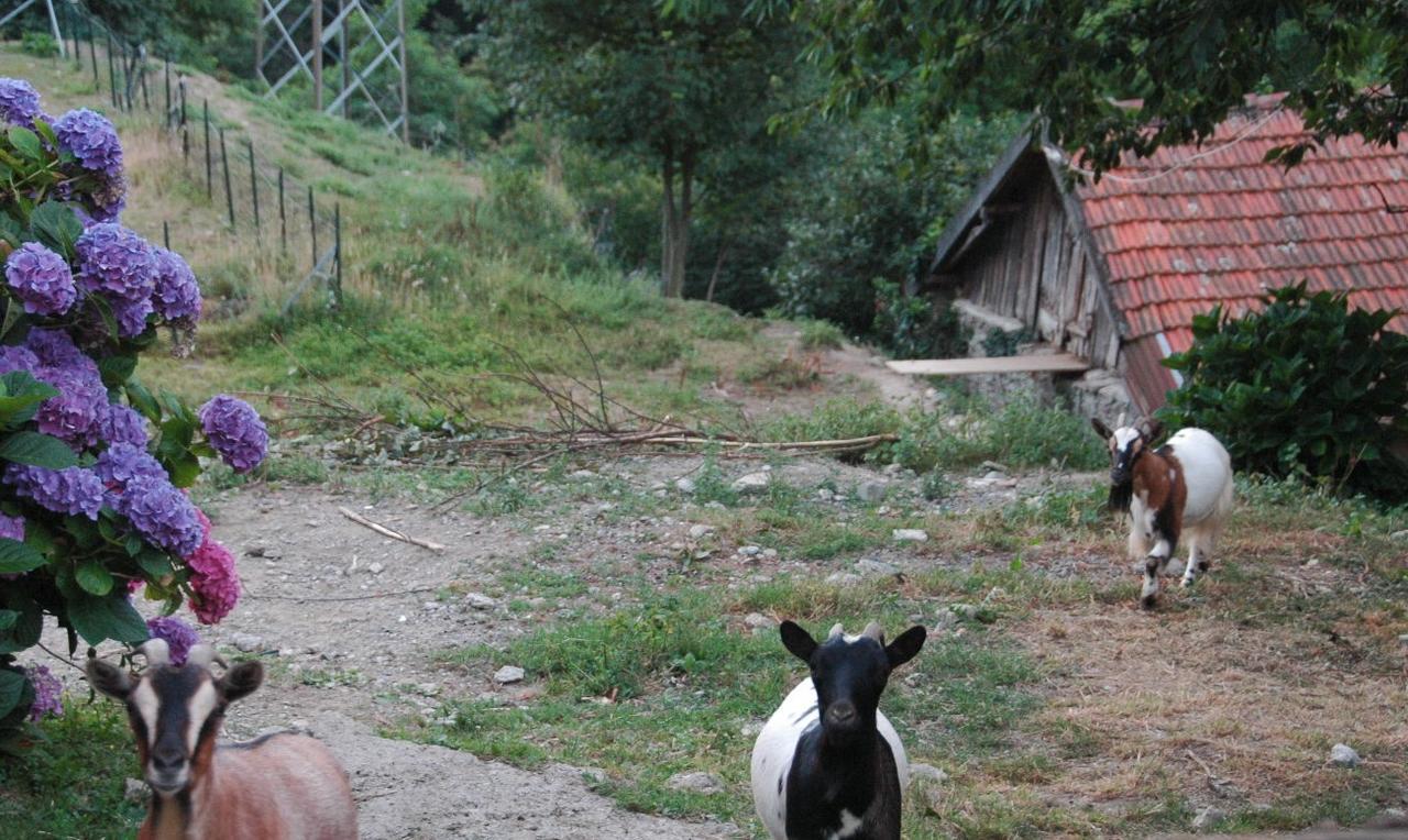 B&B Al Turchino E Area Picnic Меле Екстериор снимка